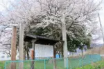 2024年4月12日 思川決闘の場