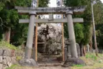 2024年4月14日 熊野神社