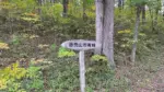 赤禿山公園