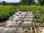 山形で化石探し！ 上山市にある氷河時代の化石が残る「化石の森」へ