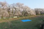 御井戸丁ふれあい公園