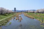 須川河岸堤プロムナード